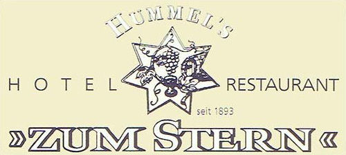 zumstern_logo.jpg